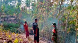 Kebakaran Hutan di Mareje Hanguskan 40 Hektare Lahan