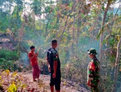 Kebakaran Hutan di Mareje Hanguskan 40 Hektare Lahan