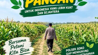 Polsek Plumpang Polresta Tuban Turun Langsung Cek Tanaman Jagung Warga