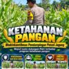 Mendukung Program Ketahanan Pangan, Bhabinkamtibmas Monitoring Pertumbuhan Jagung