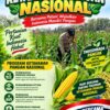 Kawal Swasembada Pangan, Polsek Jatirogo Pantau Langsung Tanaman Jagung di Paseyan