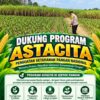 Dukung Astacita, Polsek Jatirogo Cek Langsung Ladang Jagung Warga Desa Bader