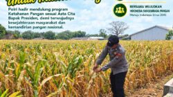 Polri Dukung Astacita, Polsek Merakurak Polresta Tuban Turun Cek Tanaman Jagung Warga di Desa Tuwiri Wetan