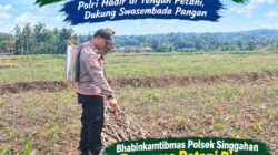 Anggota Polsek Singgahan Polresta Tuban Turun Cek Tanaman jagung Warga di Desa Lajo Lor