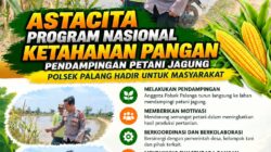 Dukung Astacita, Polsek Palang Polresta Tuban Pantau Langsung Lahan Jagung milik warga Desa Dawung