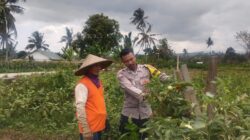 BHABINKAMTIBMAS DESA KADINDI AJAK WARGA MANFAATKAN PEKARANGAN RUMAH UNTUK DUKUNG KETAHANAN PANGAN