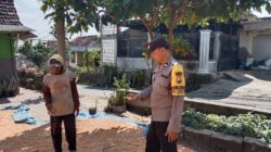 Konsep Otomatis