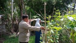 Dukung Program Asta Cita Presiden RI, Bhabinkamtibmas Desa Marga Karya Sambangi Warga Pemanfaat Pekarangan Pangan Bergizi
