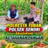 Bhabinkamtibmas Polsek Senori Polresta Tuban Lakukan Pemantauan Tanaman Jagung Warga Desa Wanglukulon Program Ketahanan Pangan