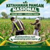 Polsek Soko Polresta Tuban Turun Langsung Cek Tanaman Jagung Warga