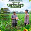 Anggota Polsek Singgahan Polresta Tuban Turun Cek Tanaman jagung Warga di Desa Mulyoagung