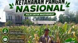 Polri Dukung Astacita, Polsek Rengel Polresta Tuban Turun Cek Tanaman Jagung Warga di Desa Sawahan