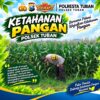 Polsek Tuban Dukung Ketahanan Pangan Nasional Melalui Pemantauan Lahan Jagung