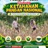 Polsek Bangilan Polresta Tuban laksanakan Monitoring Ketahanan pangan