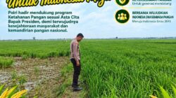 Polri Dukung Astacita, Polsek Merakurak Polresta Tuban Turun Cek Tanaman Jagung Warga di Desa Tuwiri Wetan