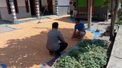 ANGGOTA POLSEK GRABAGAN SAMBANG DESA BINAAN, PANTAU LAHAN JAGUNG DAN MEMASTIKAN SISTEM IRIGASI MASIH LANCAR