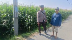 Bhabinkamtibmas Desa Terara Monitoring Lahan Pertanian, Polri Dukung Ketahanan Pangan Nasional