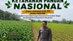 Polri Dukung Astacita, Polsek Merakurak Polresta Tuban Turun Cek Tanaman Jagung Warga di Desa Tuwiri Wetan