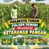 Bhabinkamtibmas Polsek Senori Polresta Tuban Lakukan Pemantauan Tanaman Jagung Warga Desa Wanglukulon Guna Mendukung Program Ketahanan Pangan