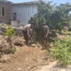 Bhabinkamtibmas Desa Labangka Sambangi Pekarangan Pangan Produktif Warga di Dusun Beringin Jaya