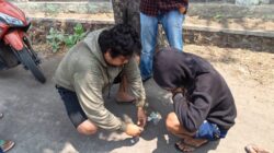 Baru Dua Bulan Bebas, Residivis Narkoba Kembali Ditangkap Polsek Asakota Bersama Dua Rekannya