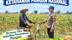 Polsek Palang Dukung Ketahanan Pangan Nasional Melalui Pemantauan Lahan Jagung
