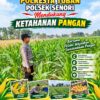 Anggota Bhabinkamtibmas Polsek Senori Polresta Tuban Monitoring Tanaman Jagung Milik Warga Desa Jatisari Dukung Program Ketahanan Pangan