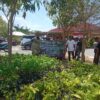 Dukung Program Quick Wins Green Policing, Polres Sumbawa Terima Bantuan 10.000 Bibit Pohon dari BPDAS Dodokan Moyosari