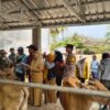 Bhabinkamtibmas dan Babinsa Dampingi Penyaluran Bantuan Bibit Sapi untuk Kelompok Ternak di Desa Banjar