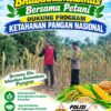 Polsek Palang Dukung Ketahanan Pangan Nasional Melalui Pemantauan Lahan Jagung
