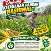 Kawal Swasembada Pangan, Polsek Jatirogo Pantau Langsung Tanaman Jagung di Paseyan