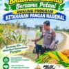 Polsek Palang Dukung Ketahanan Pangan Nasional Melalui Pemantauan Lahan Jagung
