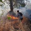 Gelar Patroli Gabungan Polsek Tambora Padamkan Karhutla di Kawasan Taman Nasional Tambora