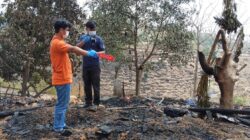 2 unit Rumah Panggung di Desa Mbawa Terbakar, Tim Inafis Satreskrim Polres Bima Kabupaten Gelar Olah TKP Awal
