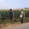 Dukung Program Asta Cita Presiden RI, Bhabinkamtibmas Desa Kukin Dorong Petani Manfaatkan Lahan untuk Tanaman Hortikultura