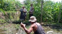 Bhabinkamtibmas Kelayu Selatan Cek Tanaman Jagung, Dukung Ketahanan Pangan dan Sampaikan Imbauan Kamtibmas