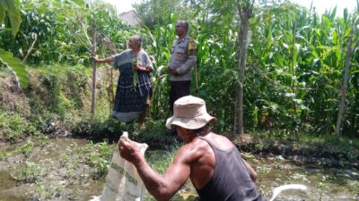 Bhabinkamtibmas Kelayu Selatan Cek Tanaman Jagung, Dukung Ketahanan Pangan dan Sampaikan Imbauan Kamtibmas